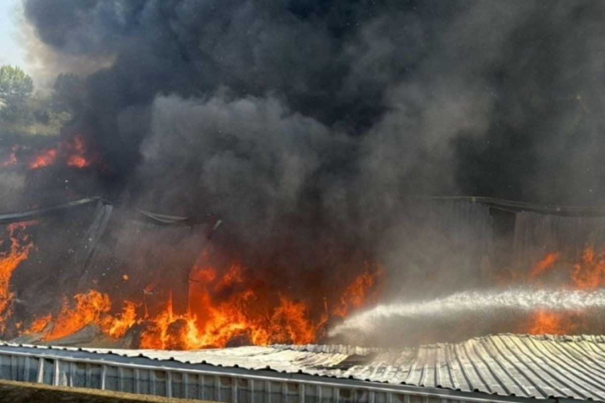 Bursa’da yan yana iki fabrikada yangın çıktı